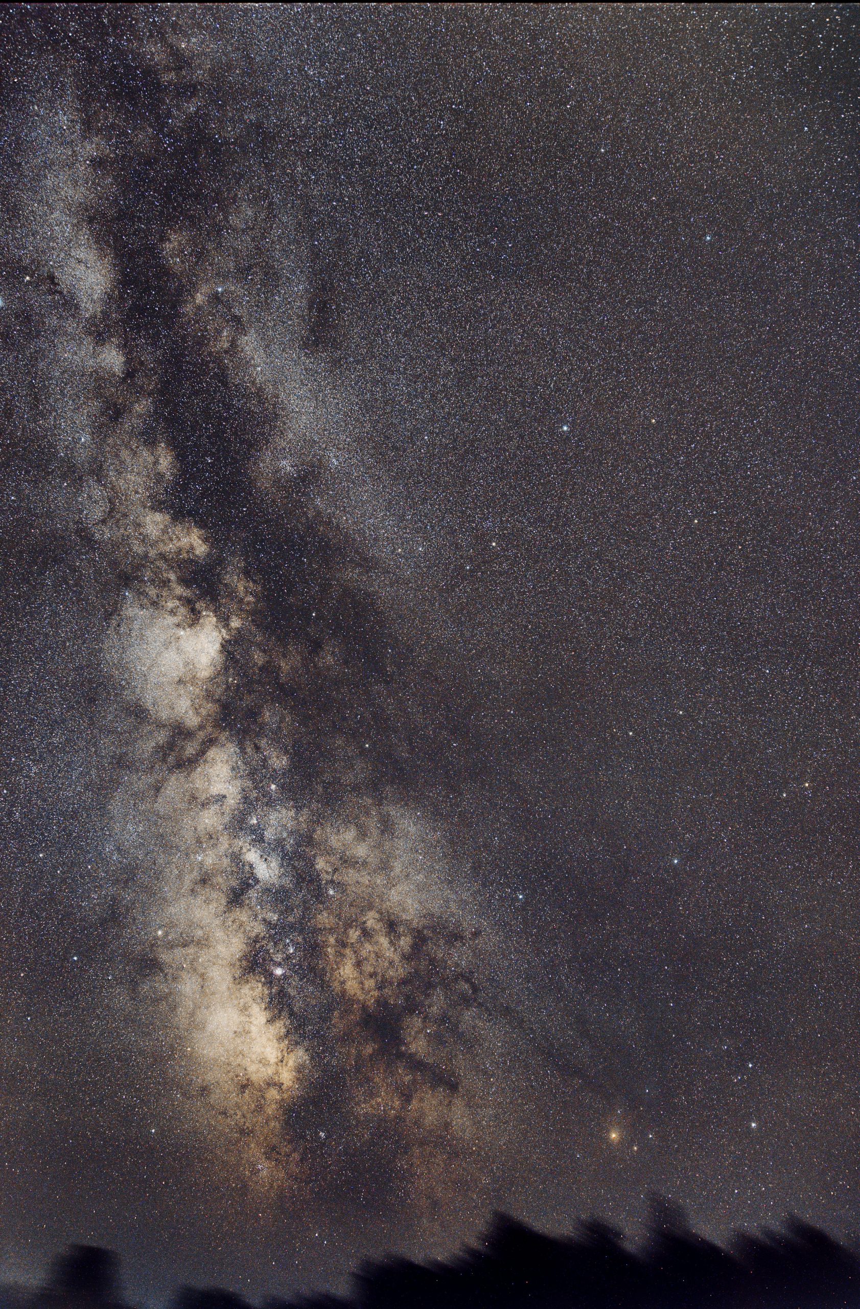 Rare wide field