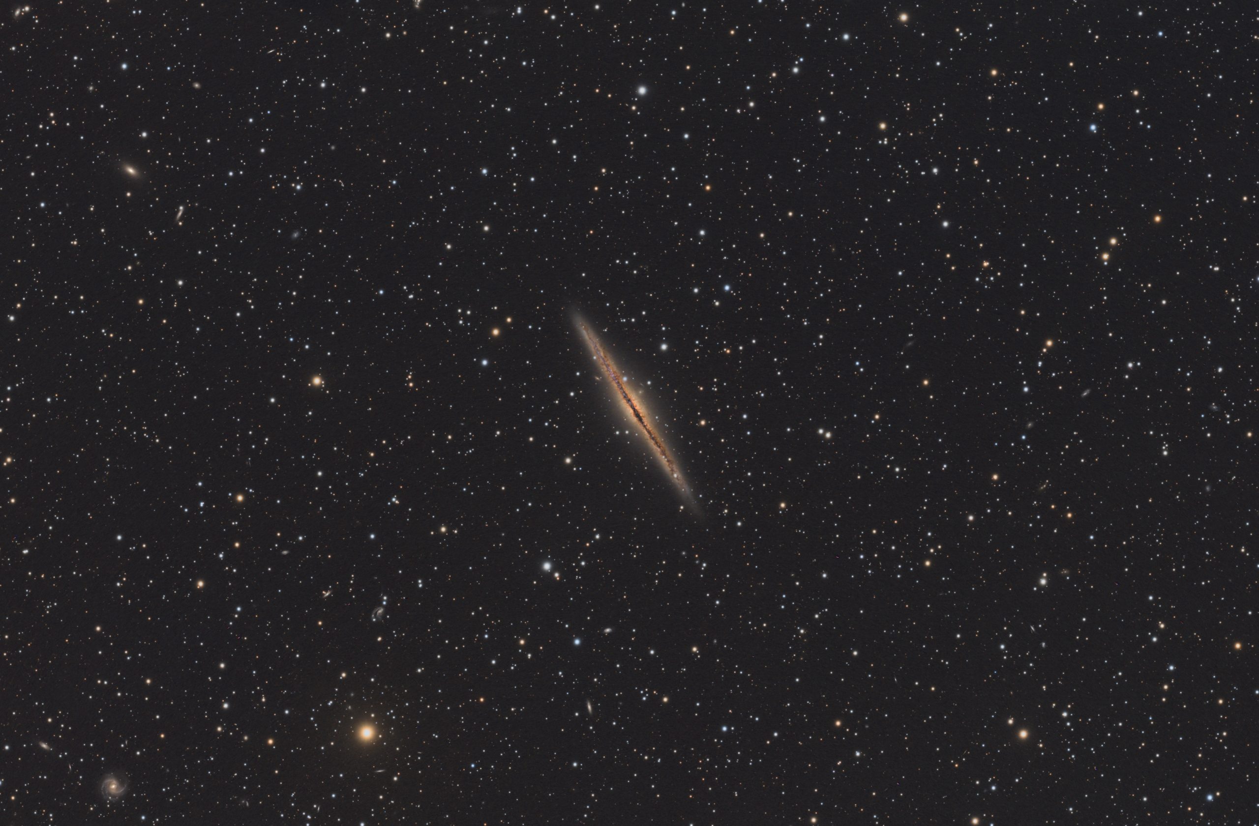 NGC891